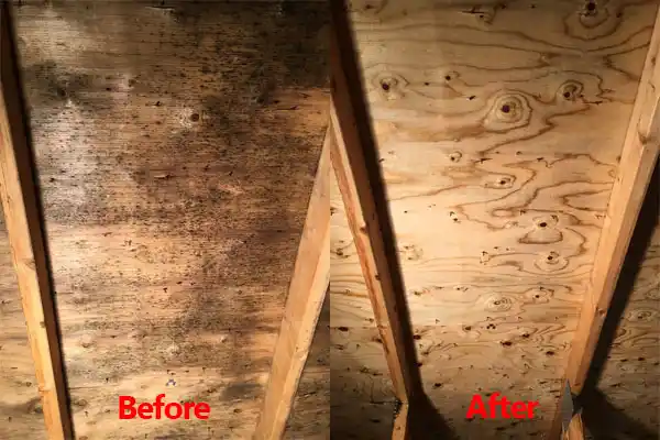 water damage restoration service Newtown